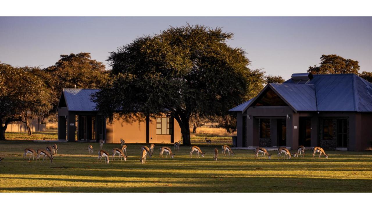Sandune Game Lodge 고바비스 외부 사진